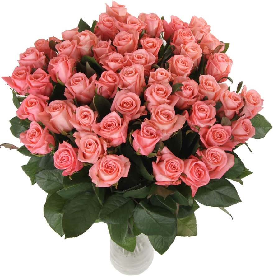 Купить цветы Букет из нежно-розовых роз